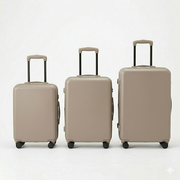Luggage Set