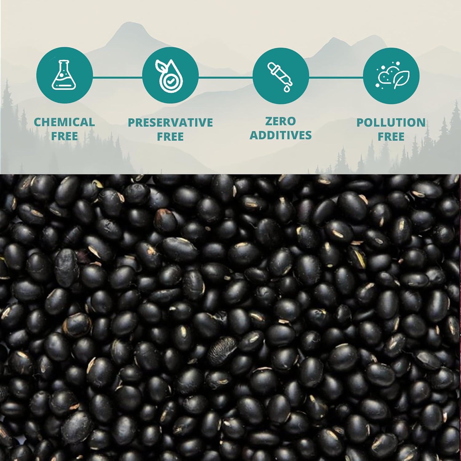 Pulses