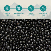 Pulses