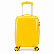 Hard Trolley Bag