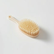 Bath Brush