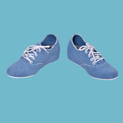 Ladies Shoes