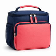 Lunch / Tiffin Bag