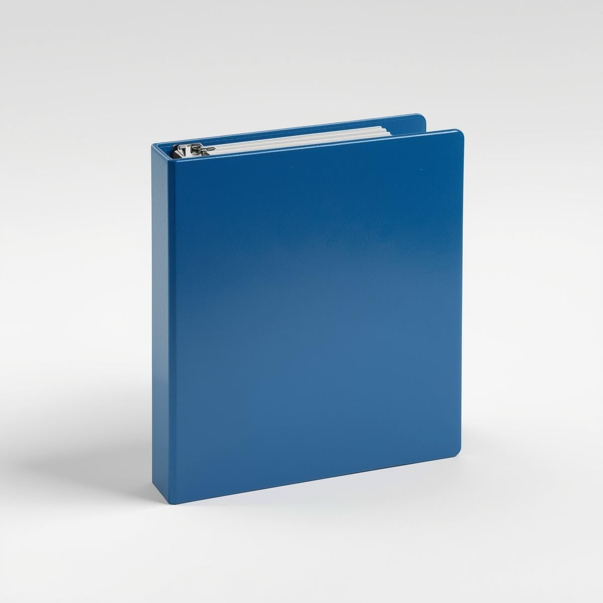 Ring Binder File